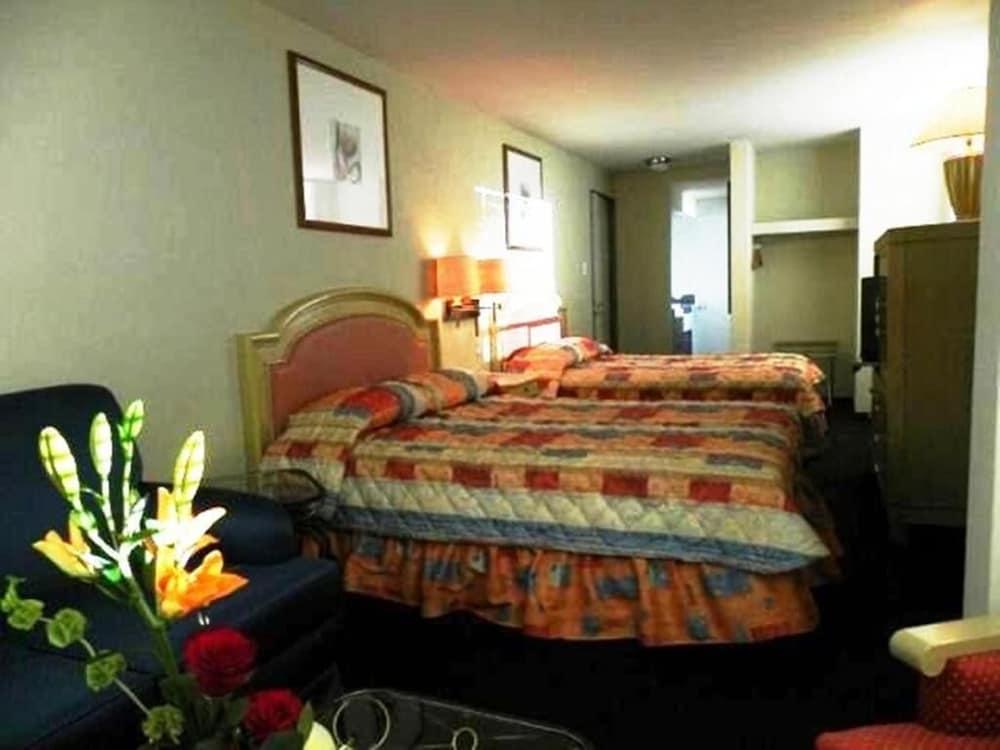Hotel San Francisco Irapuato Business Class Exterior photo
